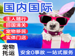 哈尔滨太平机场空运国际宠物托运 【国